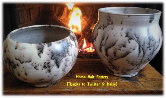 horse hair pots